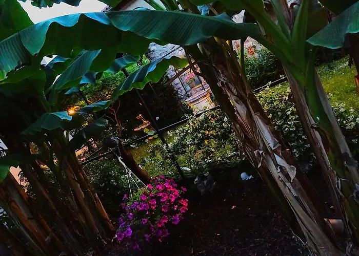 Harbor 2 オパティヤ